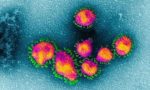 Coronavirus: 47esimo contagio. Università chiuse sino al 2 marzo