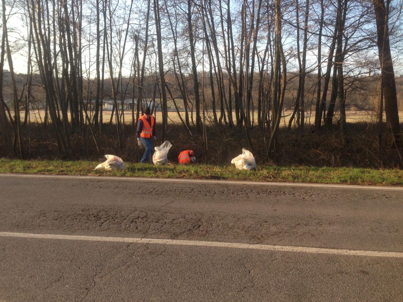 Dolzago Volontari al lavoro per pulire il territorio
