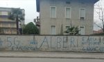 Raid vandalico: scritte sui muri contro il taglio degli alberi FOTO