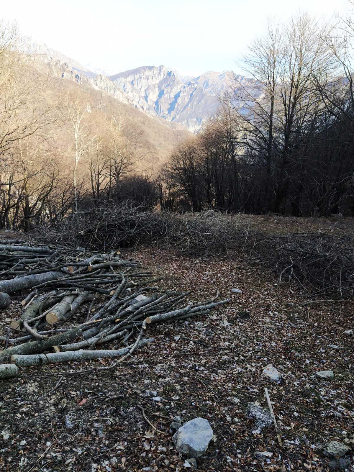interventi selvicolturali per prevenzione incendi