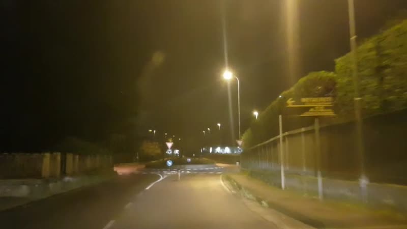 Coronavirus, strade deserte nel lecchese tranne che per… un daino VIDEO
