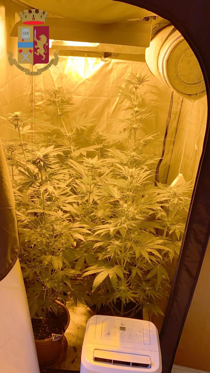 Amore e marijuana ai tempi del Coronavirus: denunciato un 26enne