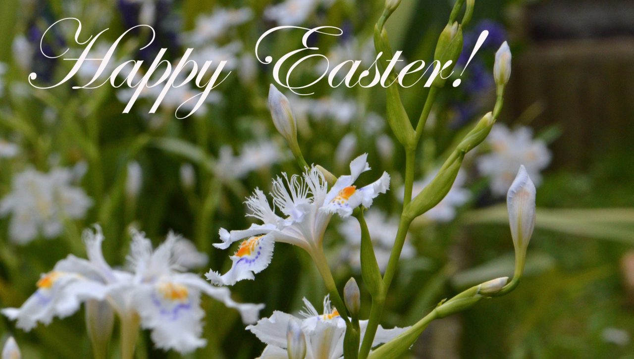 Gli auguri dei sindaci: “Buona Pasqua e … stiamo a casa!” VIDEO