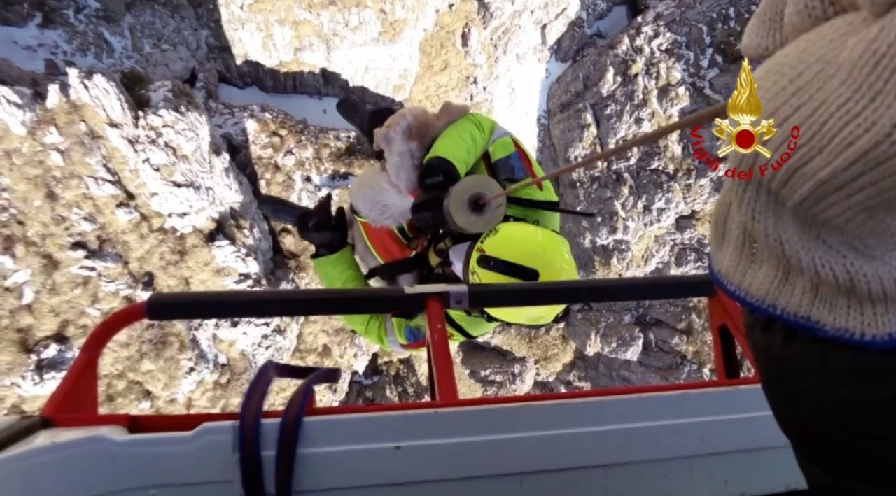 Cani dispersi da 4 giorni, trovati sul Resegone e salvati dai Vigili del Fuoco con l’elicottero VIDEO