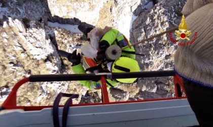 Cani dispersi da 4 giorni, trovati sul Resegone e salvati dai Vigili del Fuoco con l'elicottero VIDEO