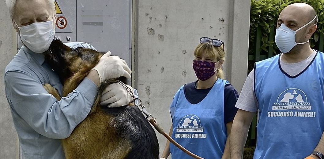 L’emozionante incontro tra il cane e i suoi  padroni usciti dall’ospedale dopo aver sconfitto il Coronavirus VIDEO