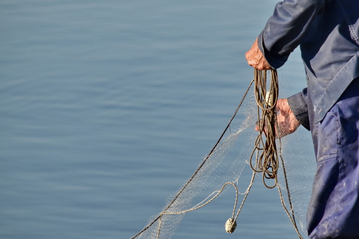 Pesca professionale sul lago di Como: la via l’indagine sul calo dei lavarelli