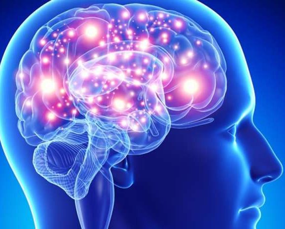 Lesioni cerebrali: il progetto dell’IRCCS Medea con gli studenti IMA di Lecco