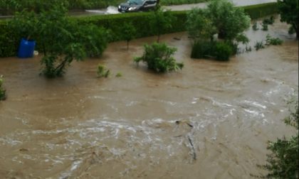 Il maltempo fa danni: esonda il Molgora, fiumi di fango in diversi paesi FOTO e VIDEO