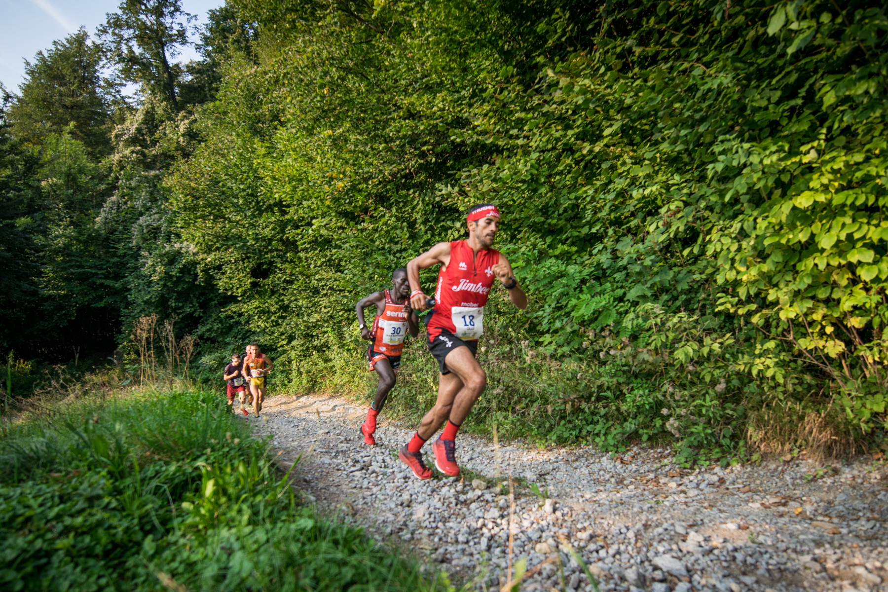 Luca Tagliaferri-DSC_0035