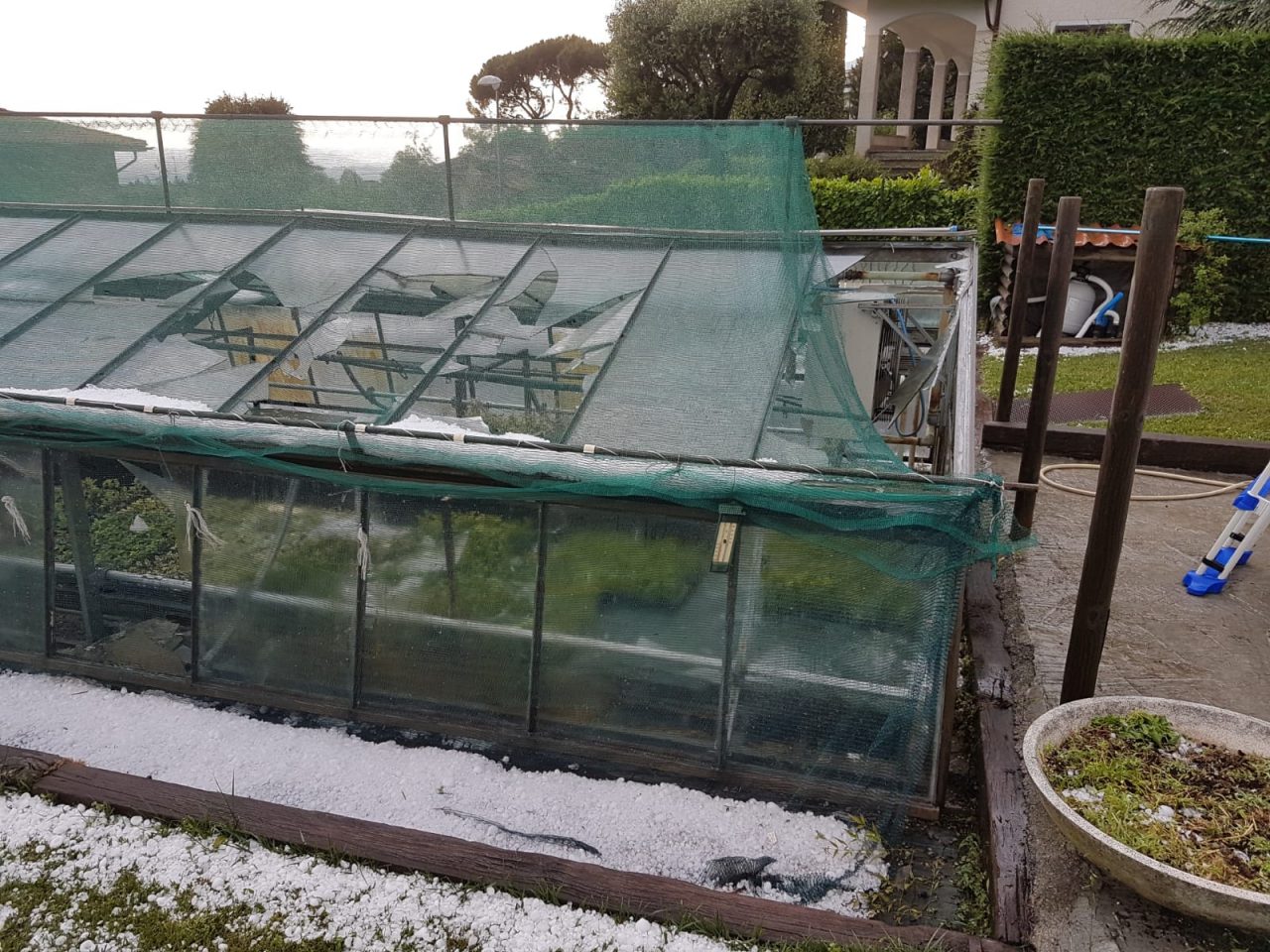 Un “bombardamento di ghiaccio” devasta i vivai del Lecchese
