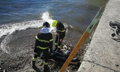 Recuperato un cadavere nel lago