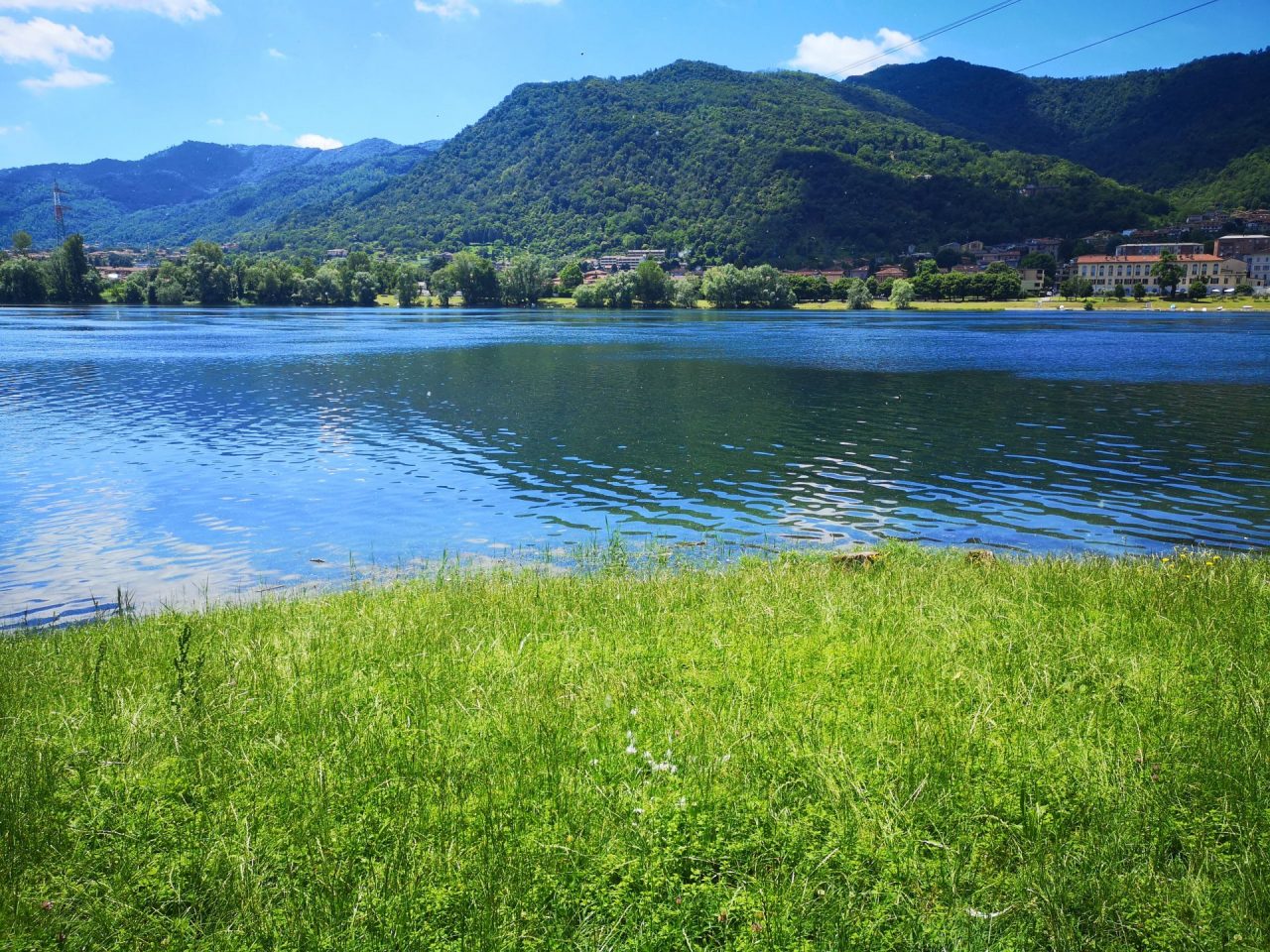 Stop alle alghe aliene nel lago