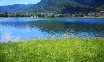 Stop alle alghe aliene nel lago