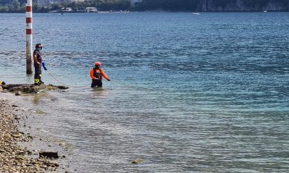 Proseguono le ricerche della giovanissima Fatou, dispersa nel Lago da giovedì. E il Lario restituisce un'altra salma