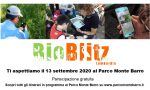 BioBlitz al Parco Monte Barro: diventa naturalista per un giorno