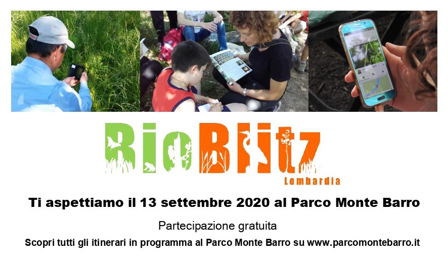 BioBlitz al Parco Monte Barro: diventa naturalista per un giorno