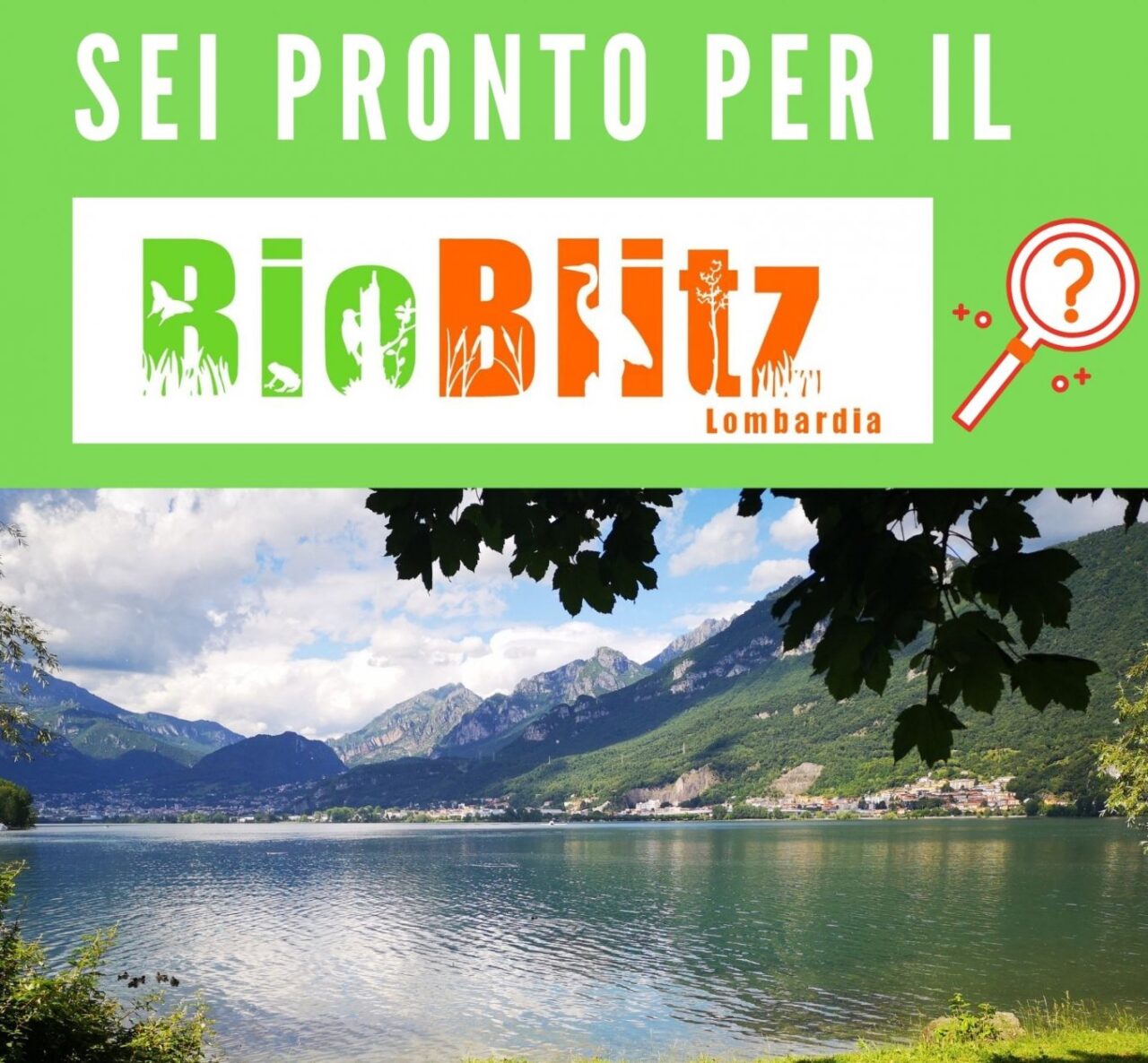 Torna il tradizionale appuntamento con Parco Monte Barro: il BioBlitz