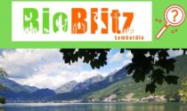 Torna il tradizionale appuntamento con Parco Monte Barro: il BioBlitz