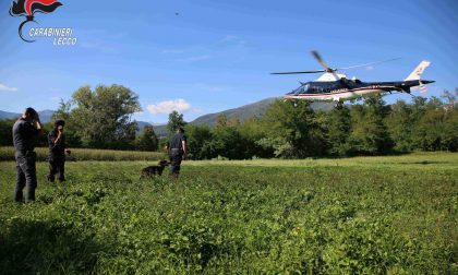 Maxi blitz contro lo spaccio: in azione anche l'elicottero  e i cani antidroga FOTO