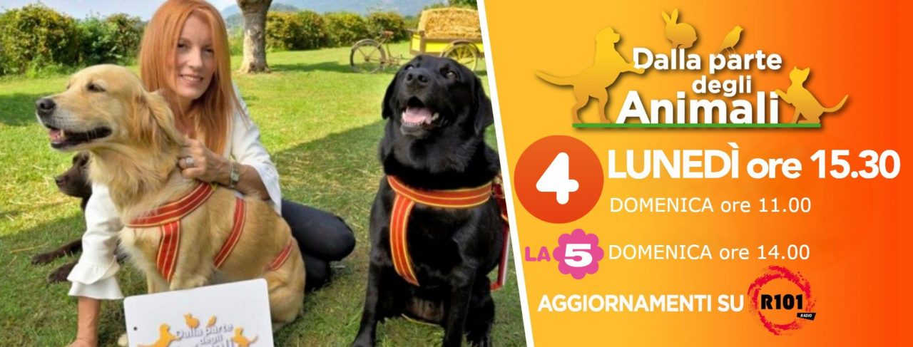 Torna in tv “Dalla parte degli animali”, la trasmissione di Michela Vittoria Brambilla