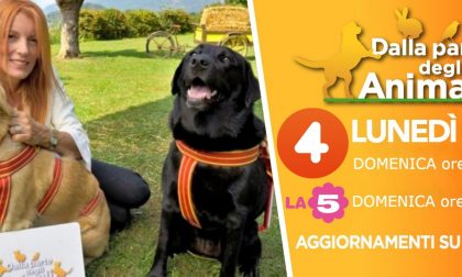 Torna in tv "Dalla parte degli animali", la trasmissione di Michela Vittoria Brambilla