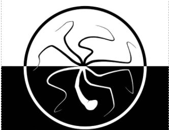 Nostos – Straordinaria Manutenzione di Villa Belfiore