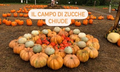 Covid, chiude il Campo delle zucche tanto amato dai bambini