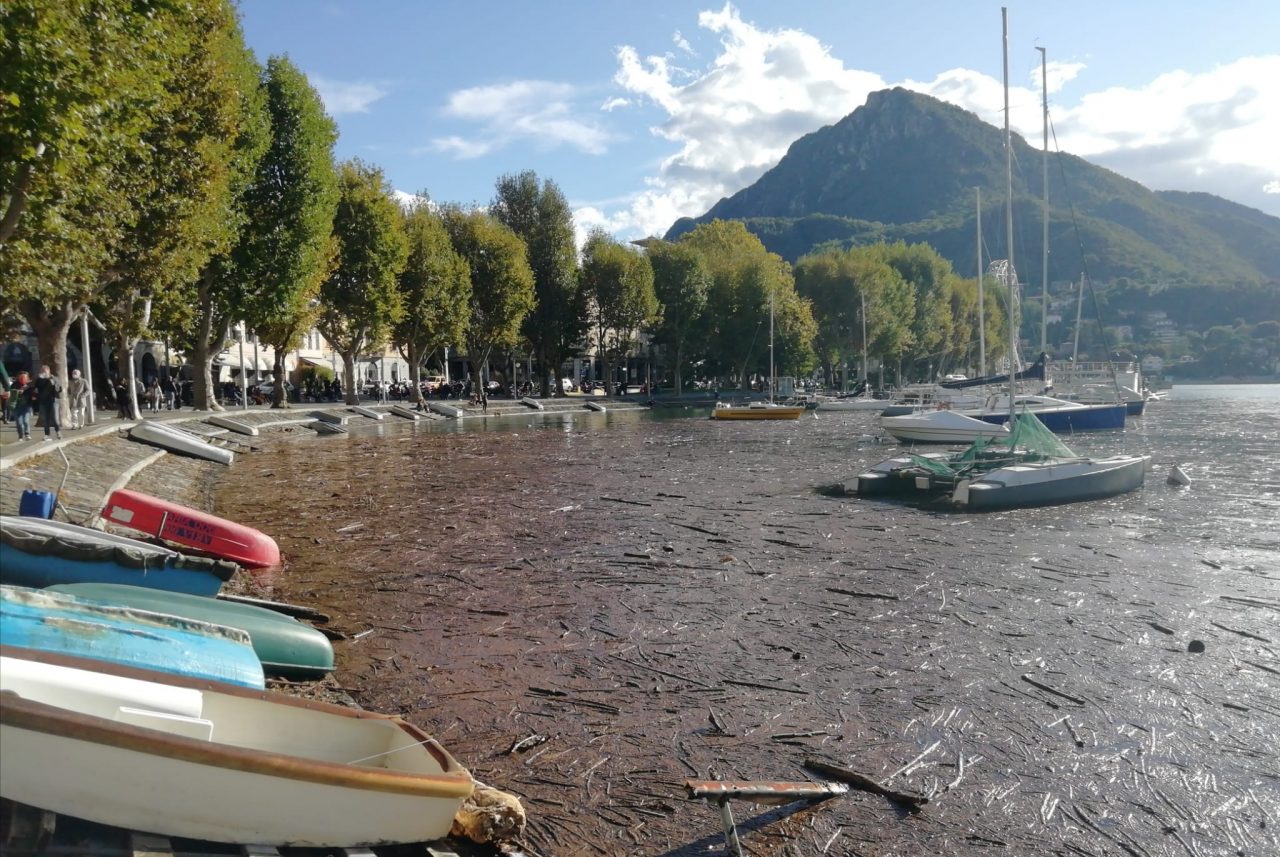 Il golfo di Lecco pieno dei detriti post nubifragio FOTO