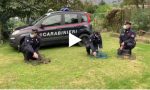 Orrore, uccelli vivi usati come "esche": denunciato dai Carabinieri VIDEO