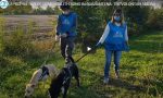 Virus e animali: 200 cuccioli presi in carico dai volontari perchè i padroni sono malati TRE STORIE DI SOLIDARIETA' - VIDEO