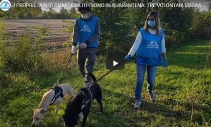 Virus e animali: 200 cuccioli presi in carico dai volontari perchè i padroni sono malati TRE STORIE DI SOLIDARIETA' - VIDEO