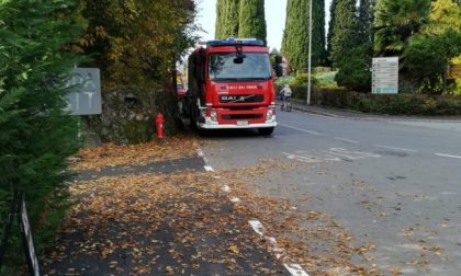 Riprendono le ricerche dello scomparso all’Adda FOTO