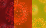 Coronavirus, stabile il numero dei nuovi contagi nel Lecchese. Ma ancora 4 morti