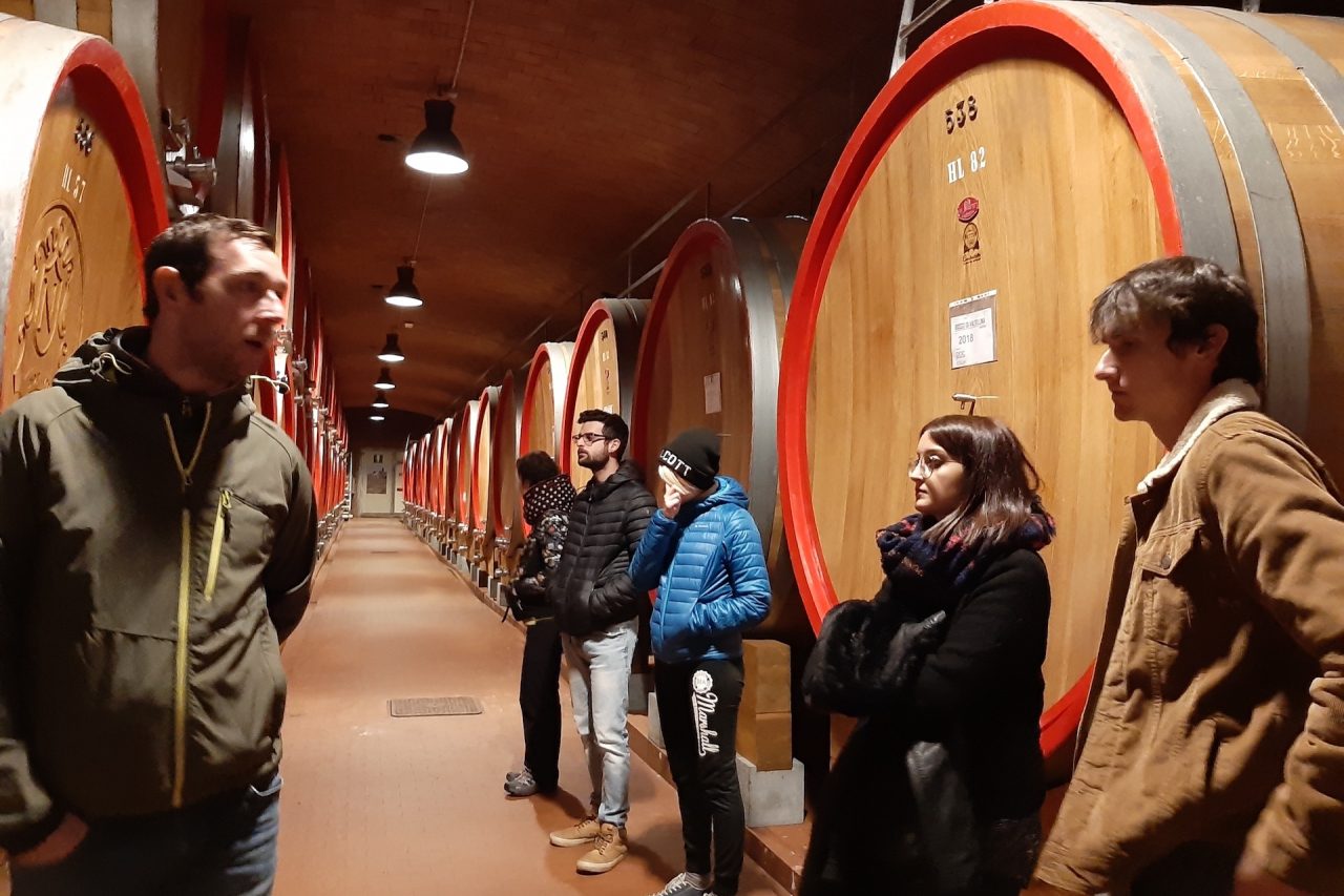 L’ITS per la filiera agroalimentare apre le sue porte: un’open day digital per scoprire il corso di studi