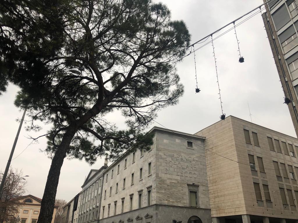 Luminarie attaccate ai rami degli alberi, Valsecchi: “Mi hanno smaronato per 5 anni e ora…”