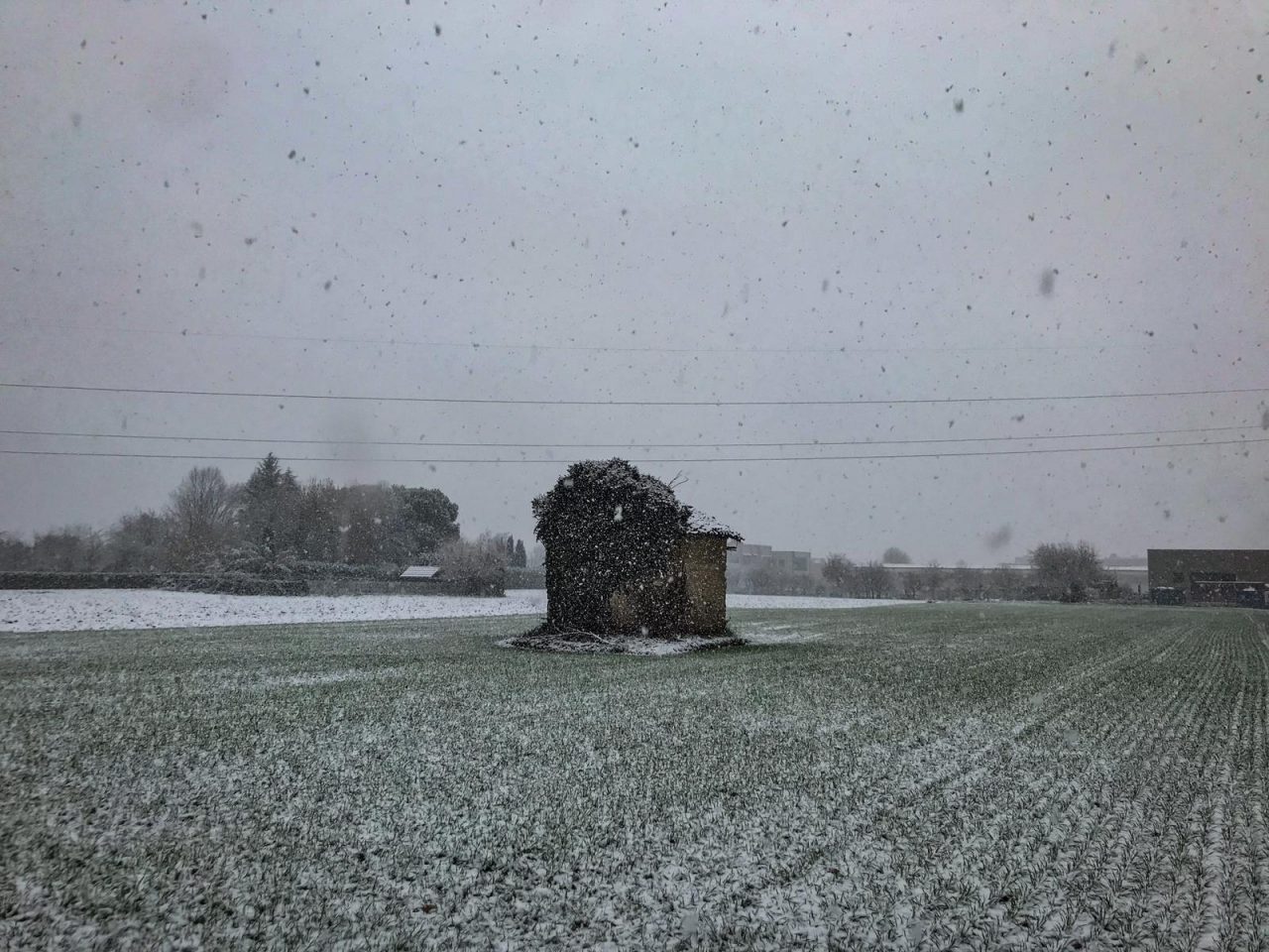 Primi fiocchi di neve in pianura nel Lecchese  PREVISIONI METEO, FOTO E VIDEO