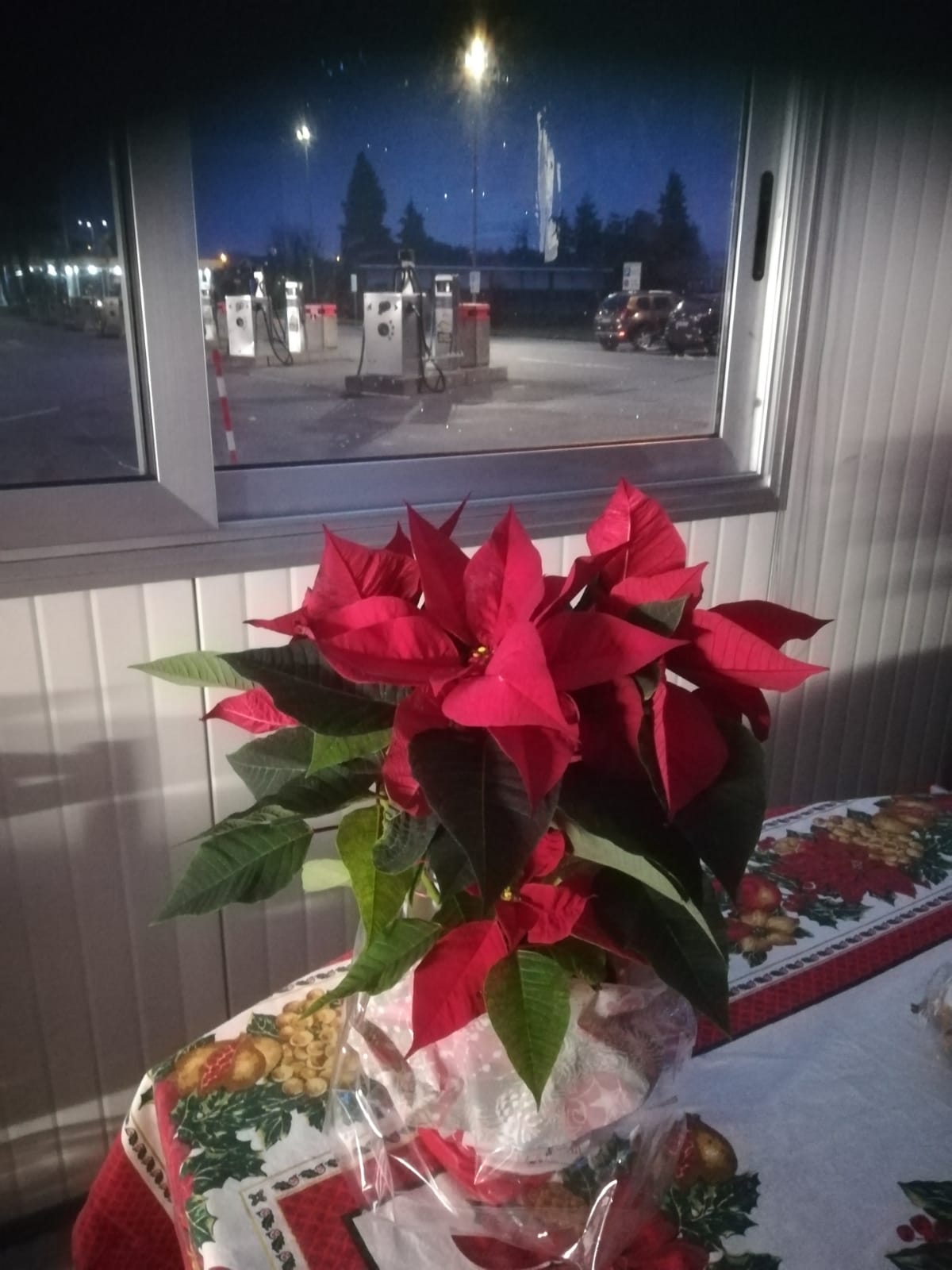 WhatsApp Image 2020-12-25 at 10.38.40 (2)