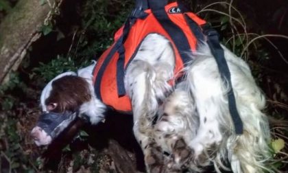 Mandello, due cani precipitano da una falesia