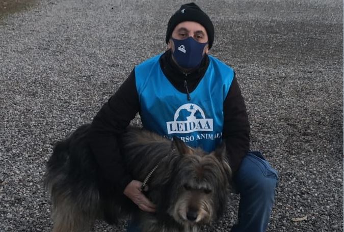 Il suo padrone ricoverato d’urgenza per il Covid: la toccante storia del cucciolo Rasch