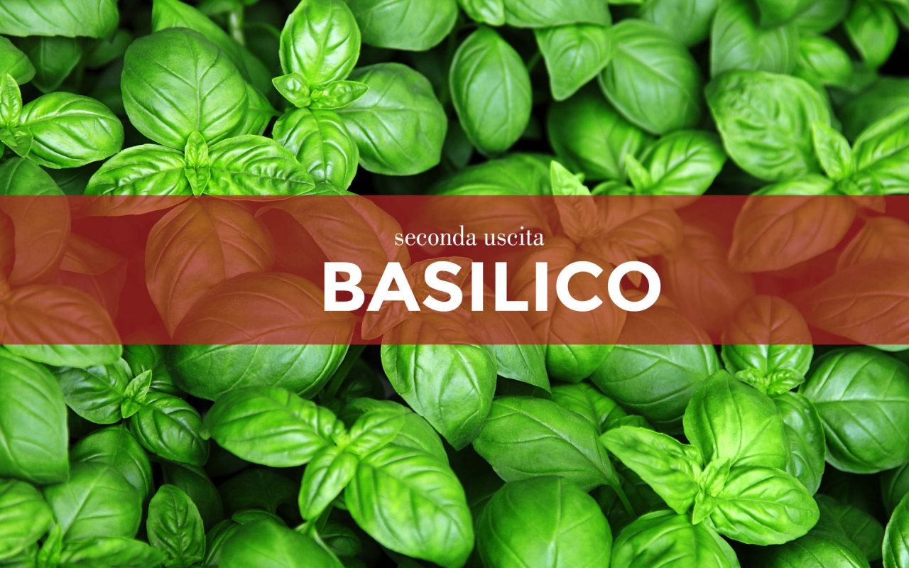 Tutti ortisti: in regalo con il Giornale di Lecco i i semi di basilico