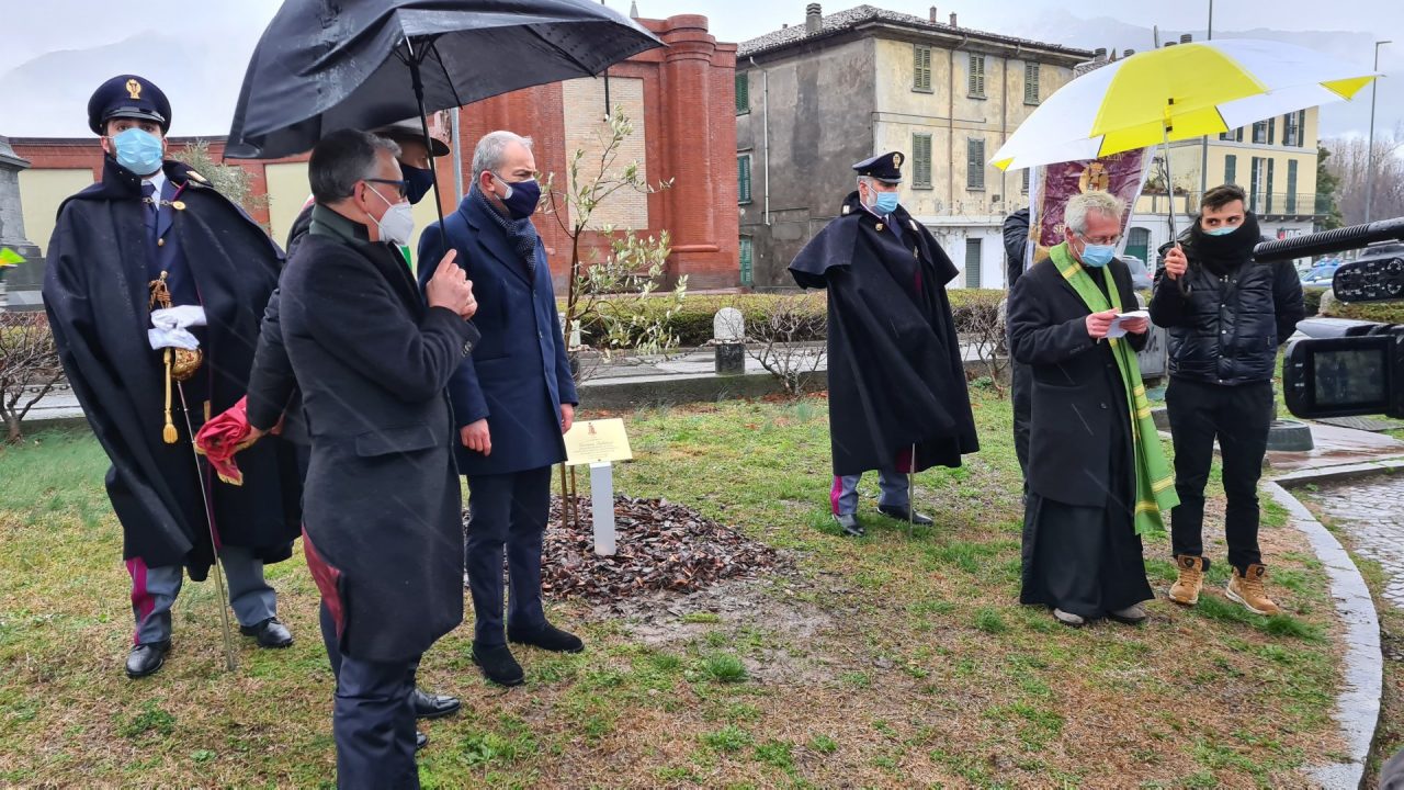 Sul lungolago lecchese un ulivo e due targhe in memoria di Palatucci