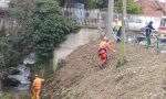 Volontari della Protezione Civile in campo per la pulizia del torrente Culigo a Chiuso