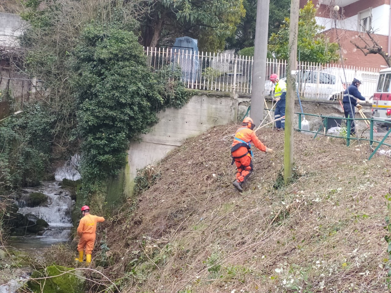 Volontari della Protezione Civile in campo per la pulizia del torrente Culigo a Chiuso