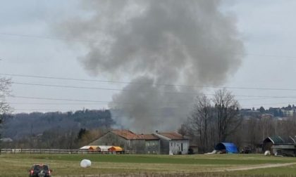 Dopo l’incendio al canile di Olgiate la solidarietà: aperta la raccolta fondi