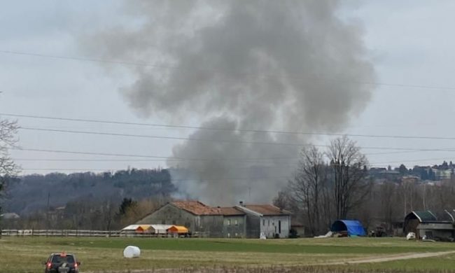 Dopo l’incendio al canile di Olgiate la solidarietà: aperta la raccolta fondi