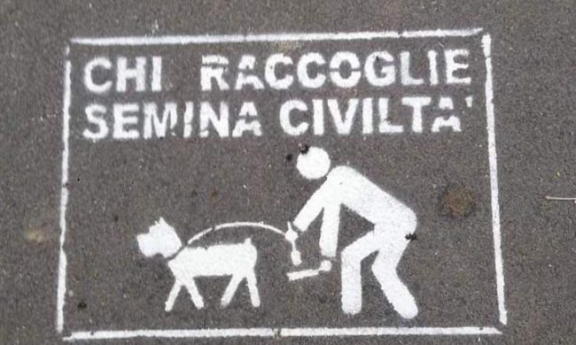 Controlli incrociati ed esame del dna: prosegue la battaglia contro le cacche di cane