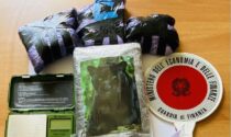 Maxi blitz della Finanza: 10 arrestati e 4 chili  coca e hashish sequestrati. Ultrasettantenni usati come corrieri della droga