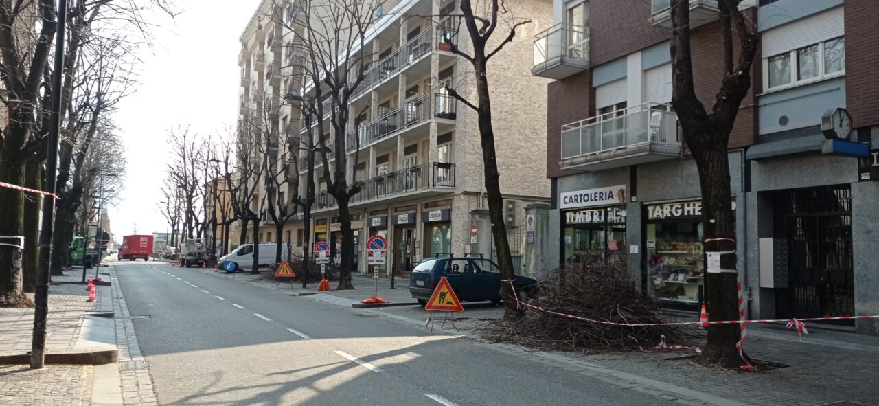 Potature in via di ultimazione in tutta la città