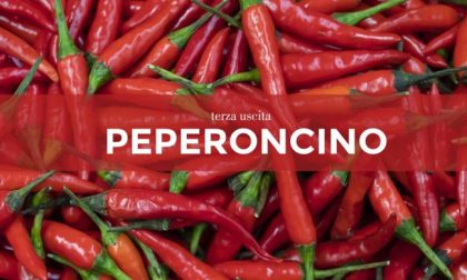 Tutti ortisti: in edicola con il Giornale di Lecco i semi di peperoncino